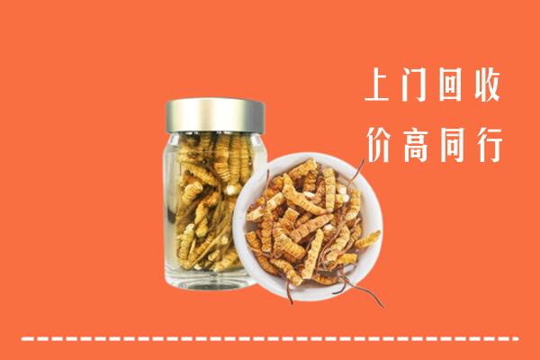 安定区回收冬虫夏草